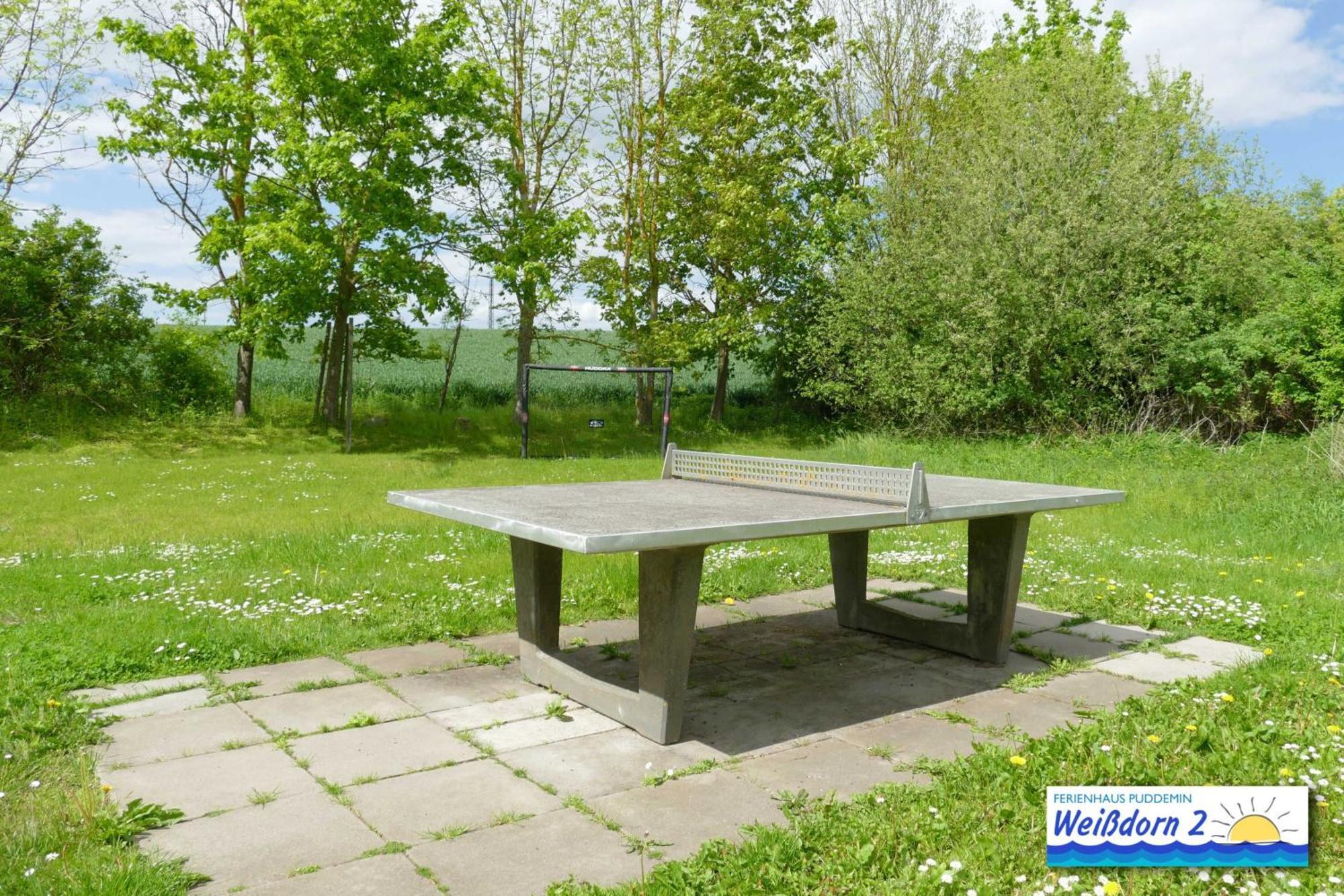 Villa Familienfreundliches Reetdachhaus Weissdorn 2 Puddemin Esterno foto